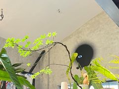 -nodcafe(M50创意园店)