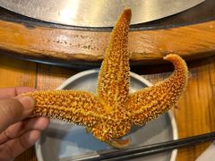 -锅老头海鲜铁锅炖