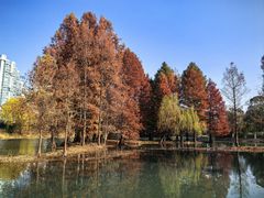 -白塘生态植物园