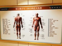 -通透堂中医·精准推拿(旗舰店)