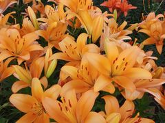 -长春公园(普阳街道)