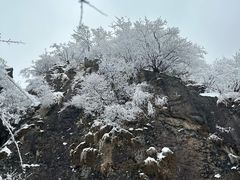 -秦岭终南山世界地质公园翠华山景区