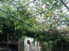 -伊隆斋(什刹海店)