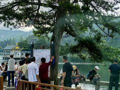 -庐山风景区花径公园