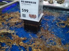 水产区-盒马鲜生(红莲店)