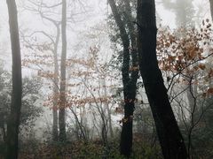 -西湖风景区十里琅珰-五云山