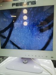 -东瀛造型