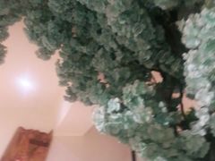 -确喜美味小厨(西单商场兰州店)