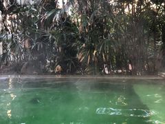 -仁爱团泊湖温泉中心