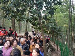 -灵岩山风景区