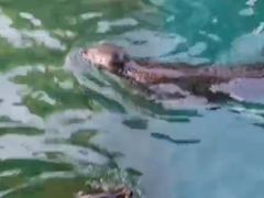 -华夏文旅海洋公园