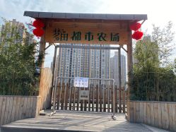 -梦田都市农场(银泰城店)