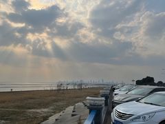 -合肥滨湖国家森林公园