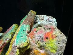 -上海海洋水族馆