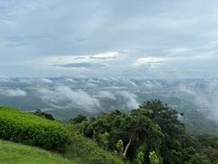 -黄埔油麻山森林公园