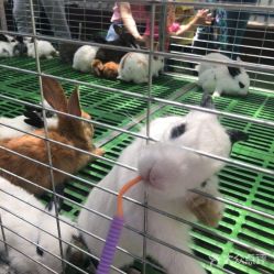 -萌宠亲子动物乐园(槐房万达店)