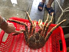 -蚝专家(北滘店)