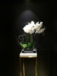 包房-娇莉芙美颜SPA连锁