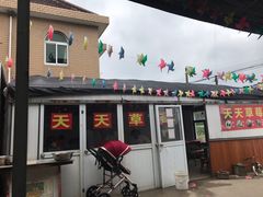 -青浦采草莓天天草莓园
