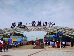 -紫颐香薰山谷景区