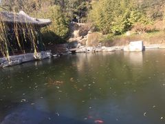 -北京颐和宾馆