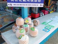 -老虎石海上公园