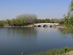 -大兴滨河森林公园