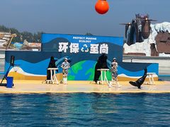 -秦皇岛乐岛海洋王国