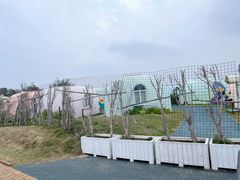 -漳州滨海火山岛自然生态风景区