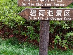 -汇龙潭