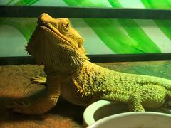 -藦茜花园宠物主题亲子互动体验馆(国顺东路店)