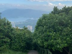 -梧桐山风景名胜区