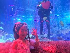 -沈阳海洋探索中心