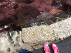 -湖泉半山温泉