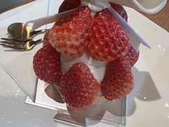 -Bco豆库(苏州中心店)