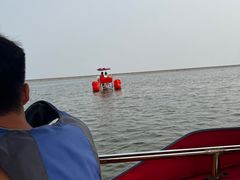 -碧海金沙