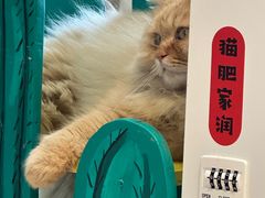 -小时光咖啡馆(开森度假森林店)