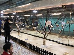 -上海大自然野生昆虫馆(东方明珠·爬宠昆虫探索中心)
