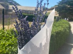-塞南克修道院