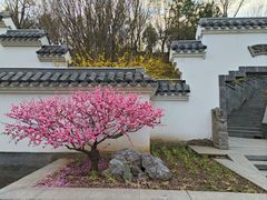 -北宫国家森林公园