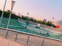 -南京奥林匹克体育中心-体育馆