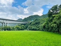 -贵阳市花溪国家城市湿地公园