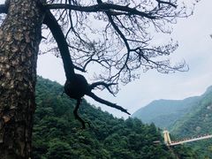 -太湖源风景区