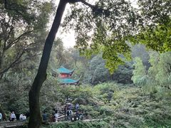 -岳麓山风景名胜区