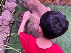 -正佳雨林生态植物园