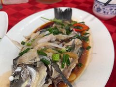 先鲜鲫鱼粥-先鲜鲫鱼粥