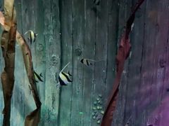 -沈阳海洋探索中心