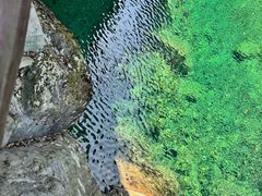-石台牯牛降景区