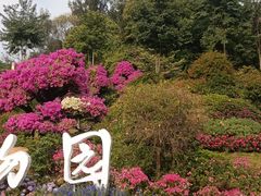 -沙河粉村·国家非遗传承(云台店)