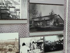 -北京大学百年讲堂